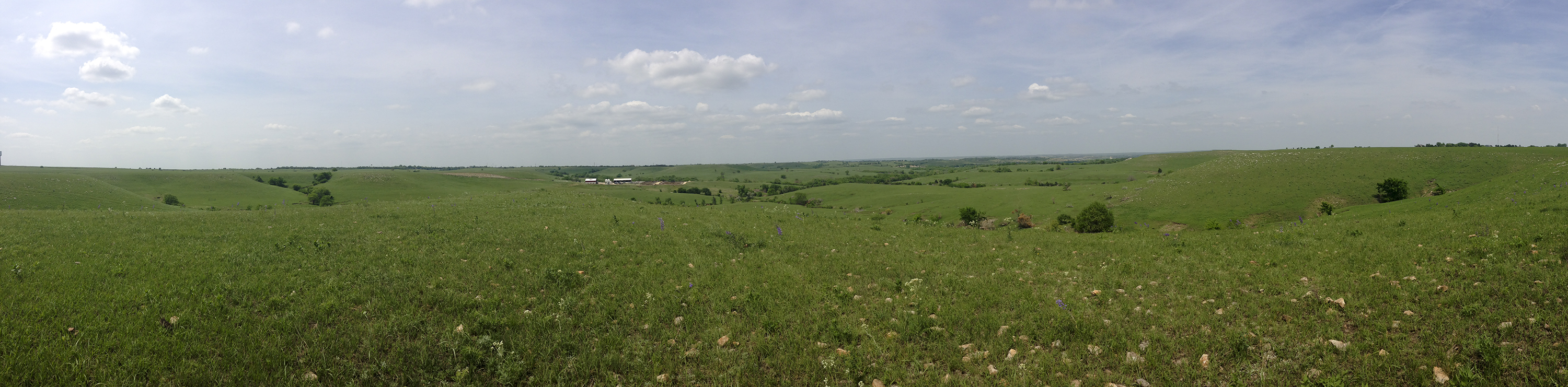 My university's Beef Stocker Unit runs its Kansas State research trails amidst my favorite landscape — the Flint Hills.