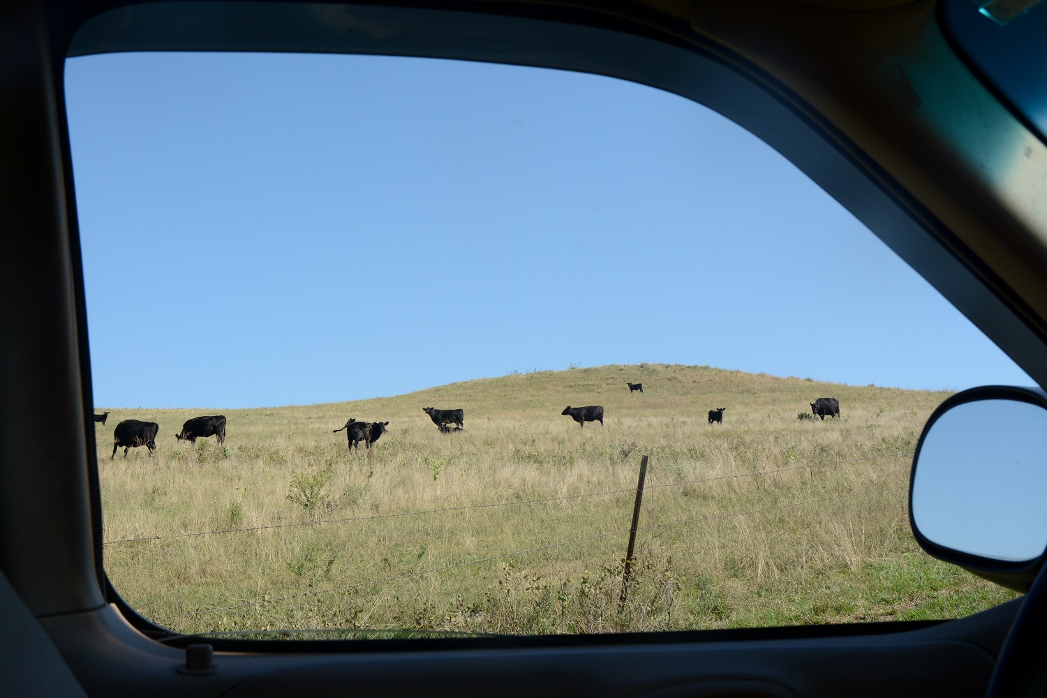 PastureDriveBy