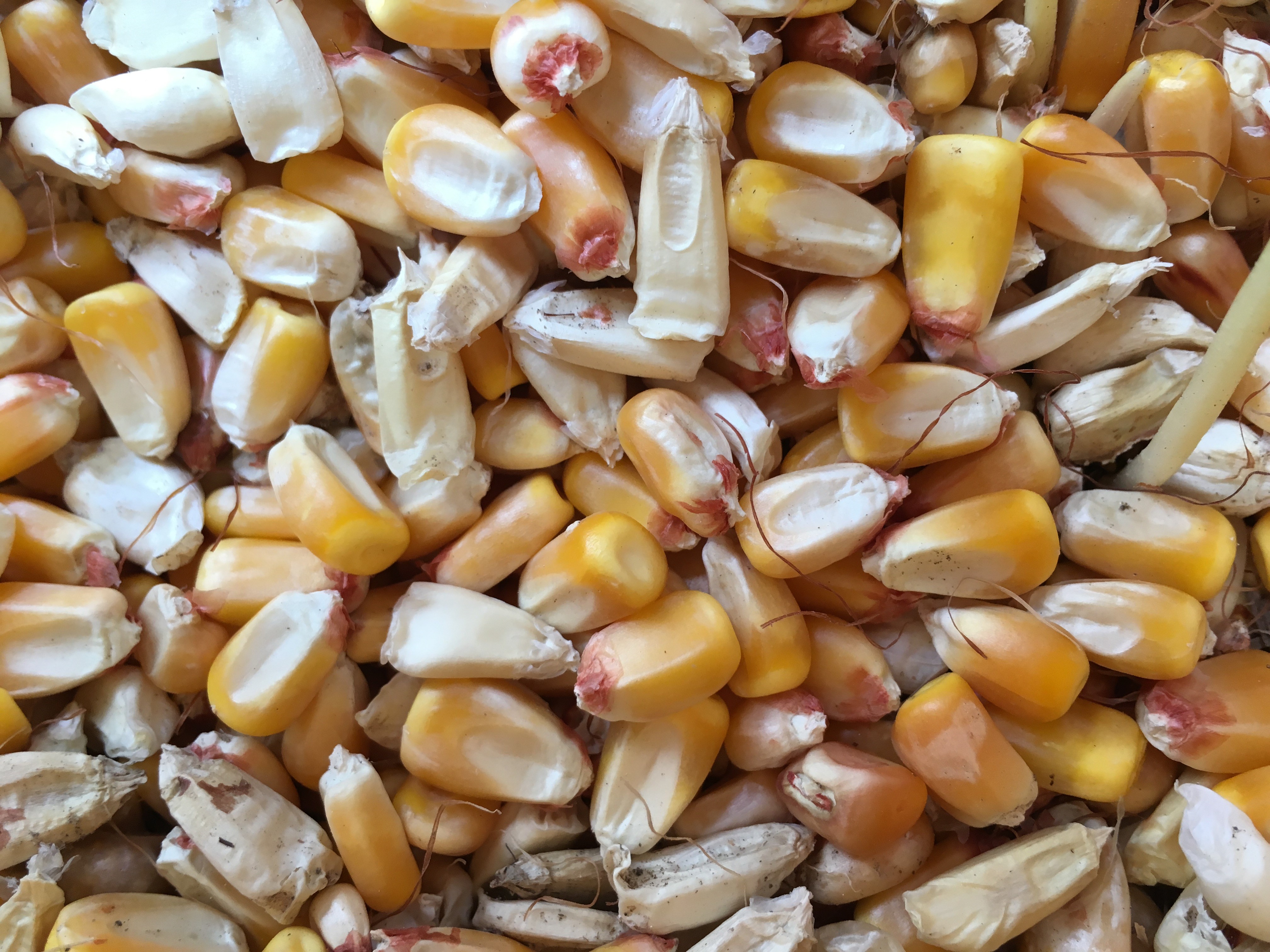 A part per billion would be like finding one kernel of corn in a 70-acre field