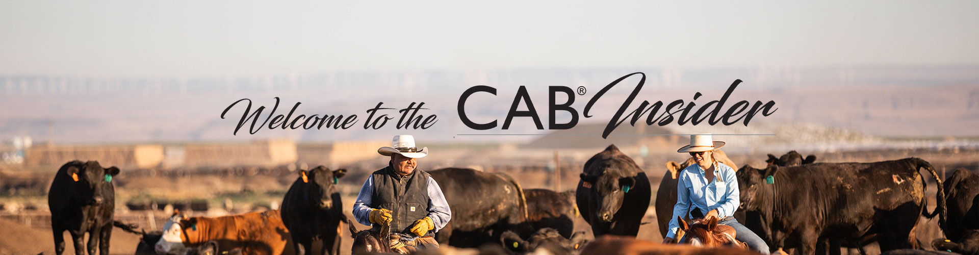 CAB-Insider-header-update CAB Insider header