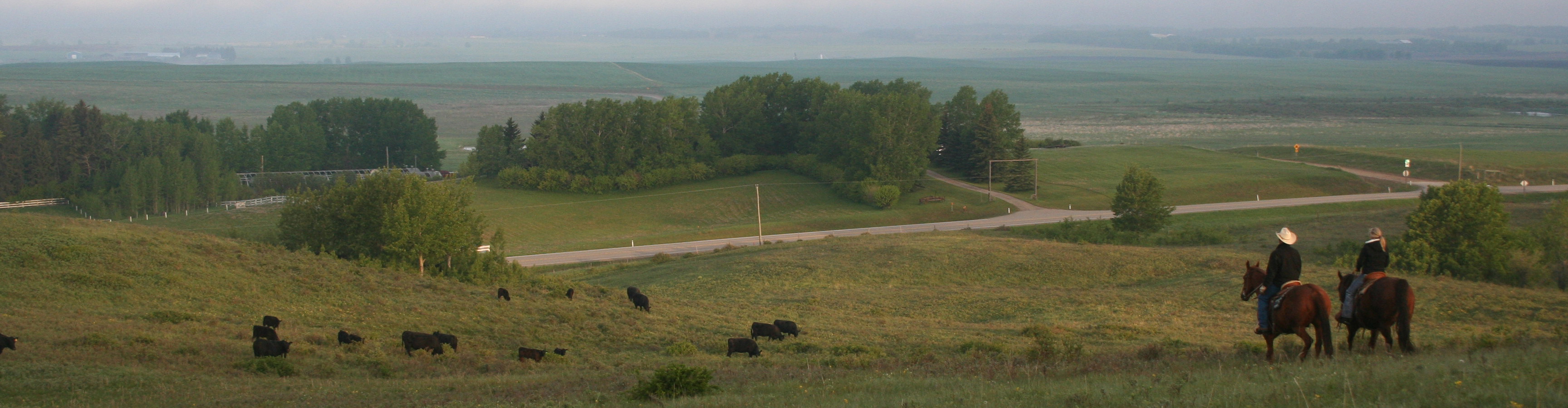 News Release Lemoyne Brings Canada Focus To Certified Angus Beef