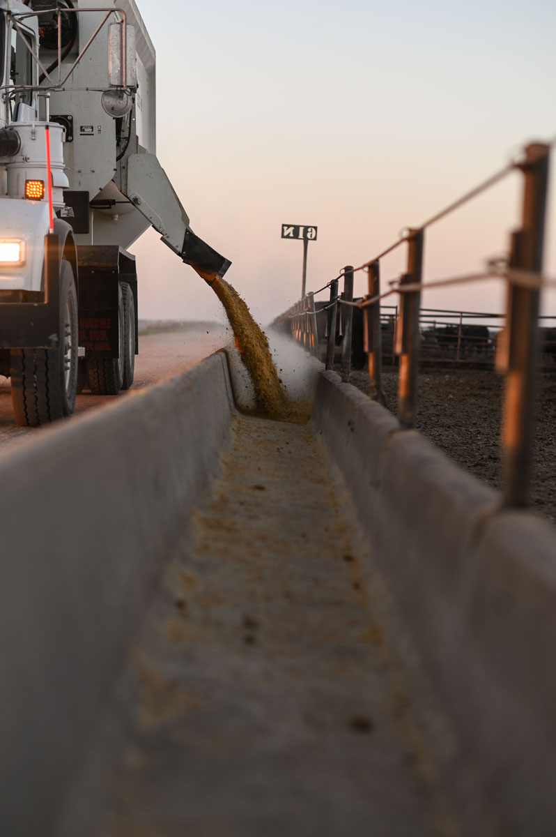 2019_NATimmerman_feedyard-0207-web colorado feedyard