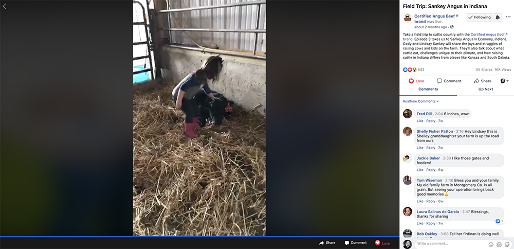 SankeyAngus_FieldTripNR-web Field Trip to the Farm - Sankey Angus