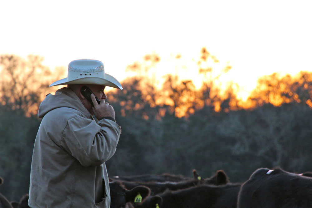 cowboy-on-phone-web cowboy on phone
